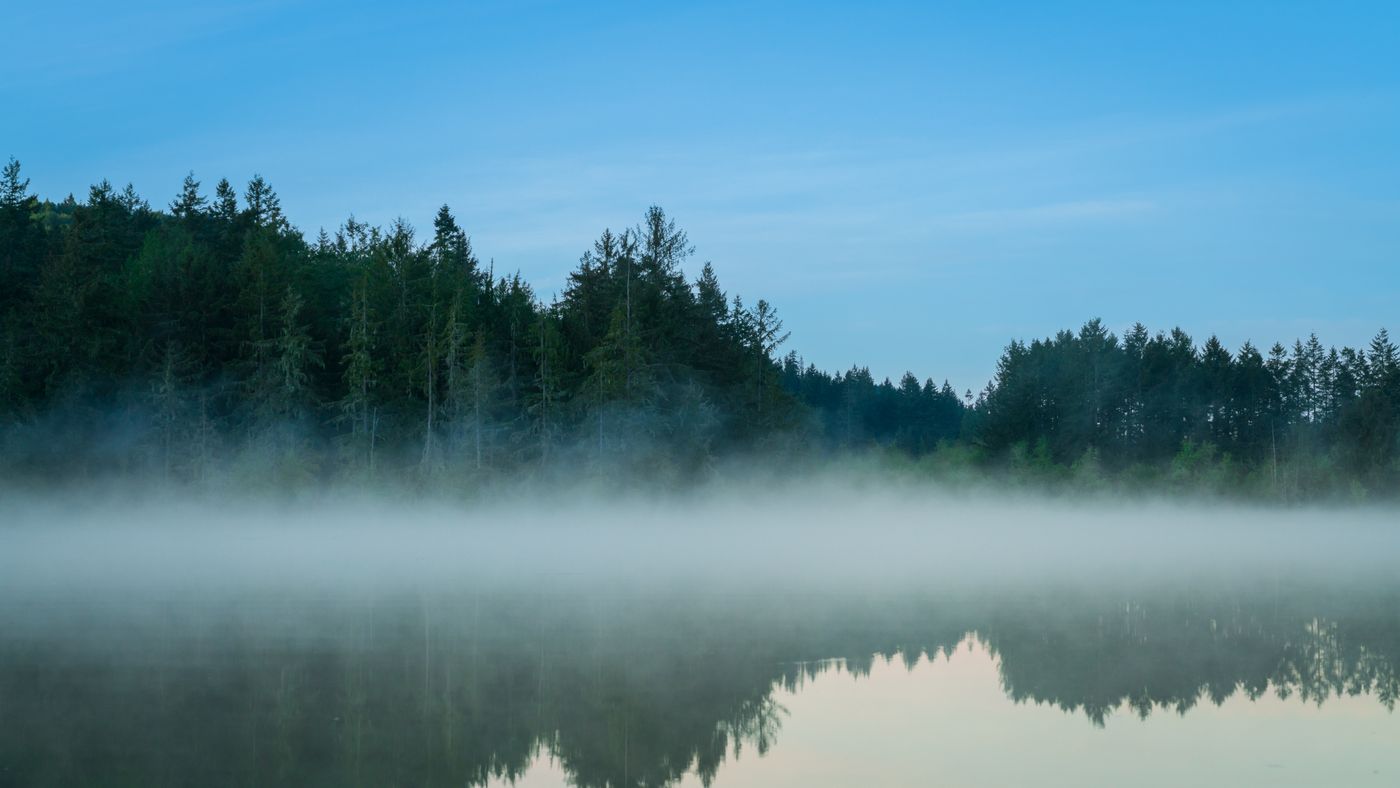 Morning mist above a forest lake